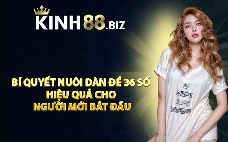 Bí quyết nuôi dàn đề 36 số hiệu quả cho người mới bắt đầu